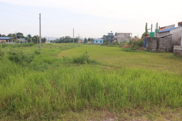 land for sale dhanauji chitwan 768x512