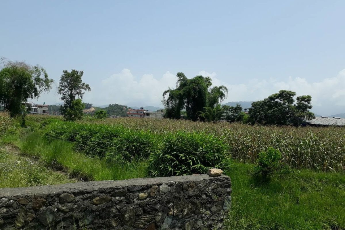 land for sale dhungepatan pokhara