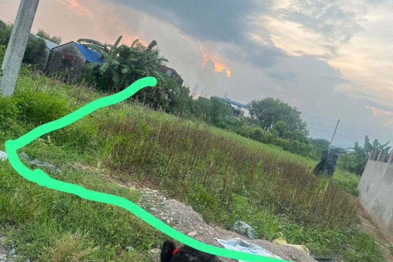 land for sale kawasoti 28bigha 768x512
