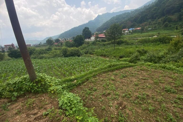 land sale chitlang makanpur 768x512