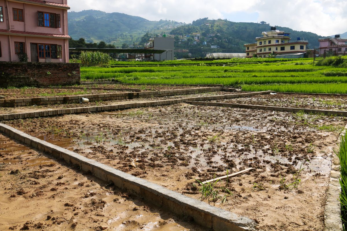 sanagaun ukhutar ghaderi kathmandu