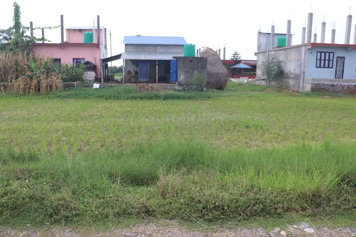 sasto cheap tukra gahderi bharatpur dhanauji