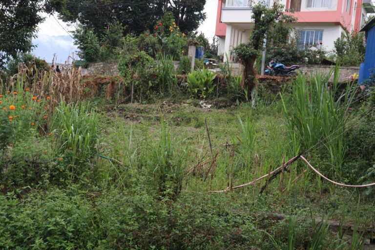 sasto ghaderi bikri kathmandu thali 768x512