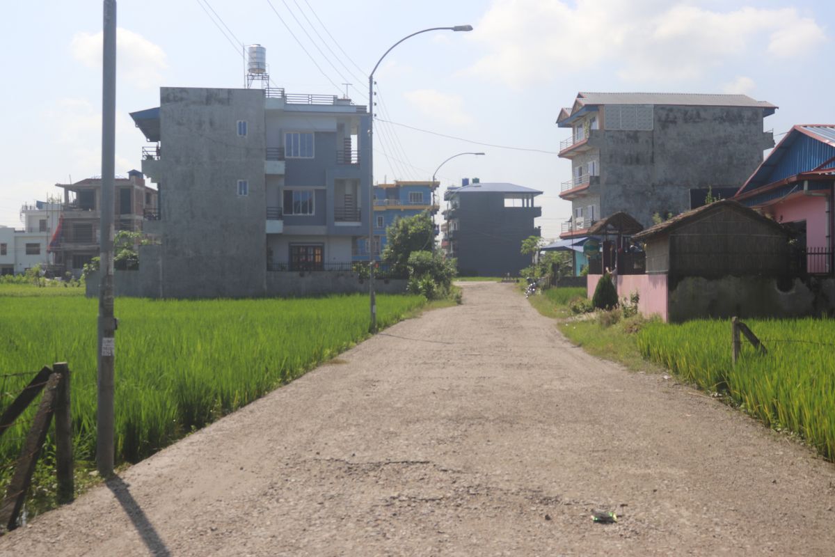 sasto ghaderi chitwan bharatpur baseni