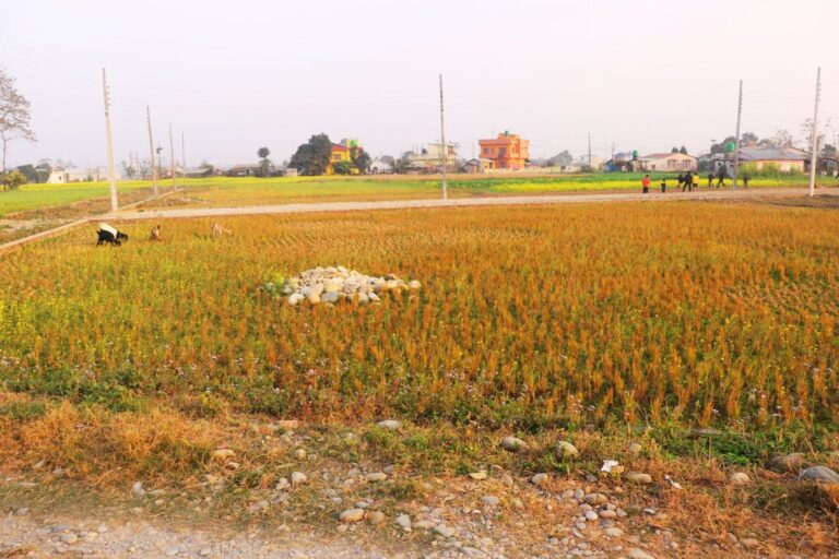 sasto ghaderi gitanagar bharatpur 768x512