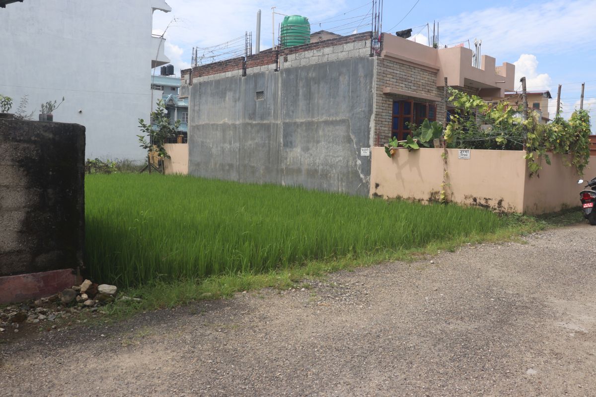 sasto ghaderi jagriti tole bharatpur