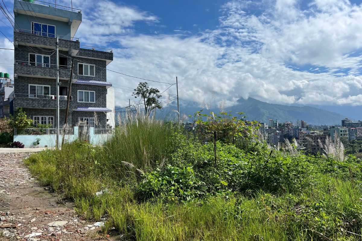 sasto ghaderi kathmandu tarkeshwor padamshal