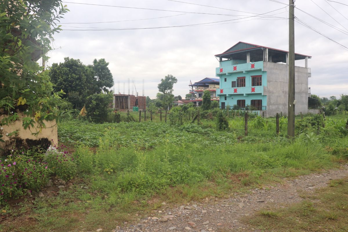 sasto ghaderi prembasti bharatpur chitwan