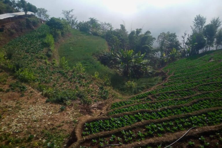 sasto ghar ghaderi agri land dhading fakfuk 768x512
