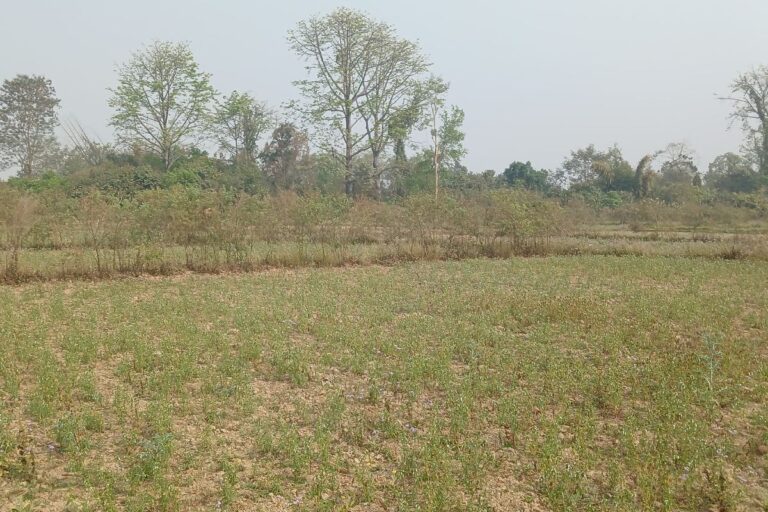 sasto jagga bardaghat 768x512
