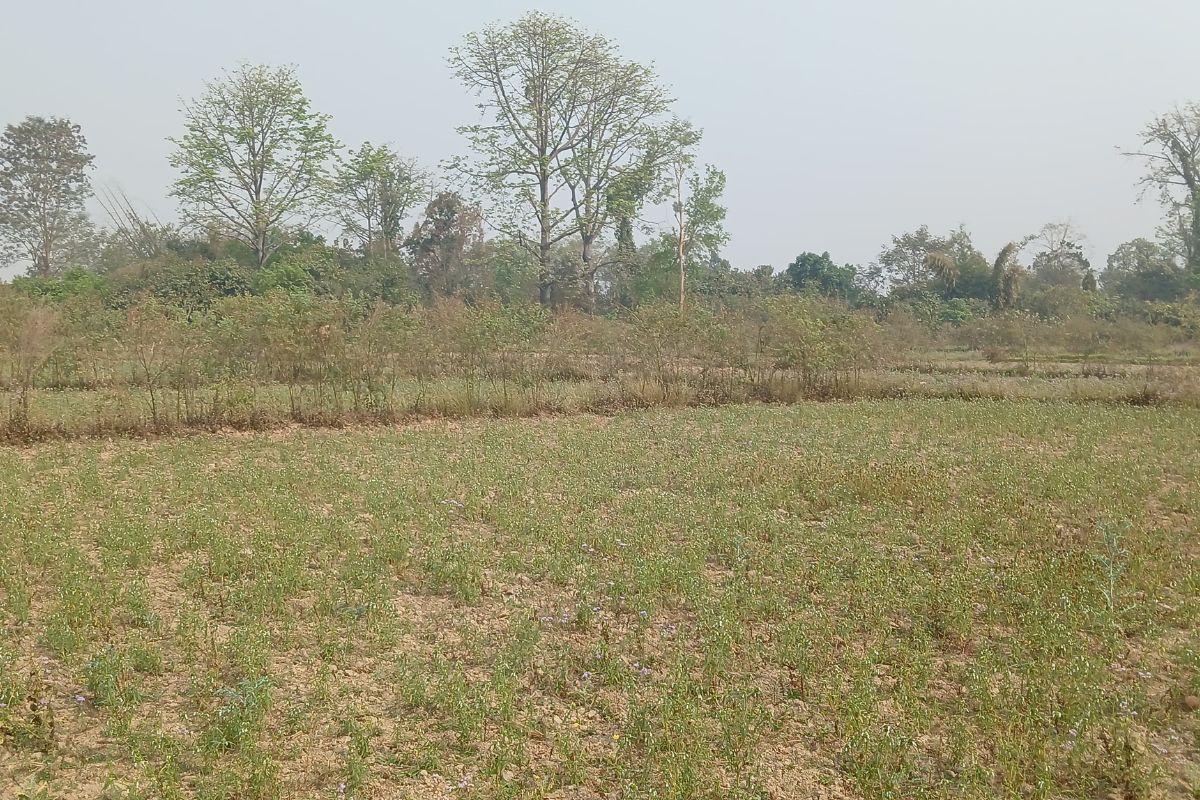 sasto jagga bardaghat