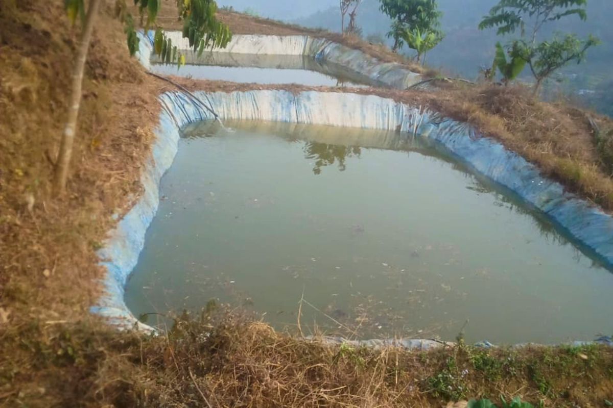 sasto jagga bikri dhading nalang fakfuk