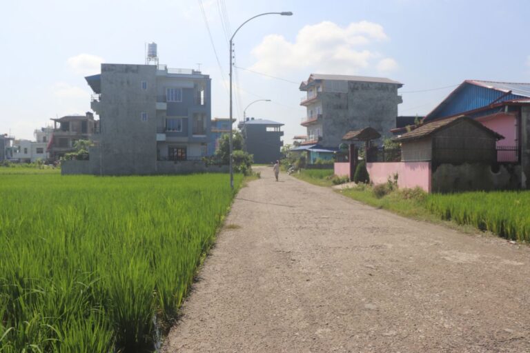 sasto jagga chitwan baseni 768x512