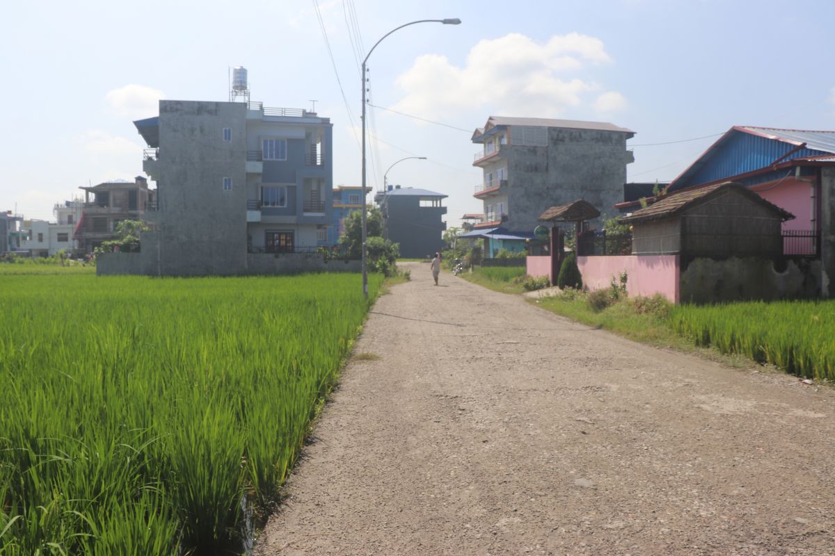 sasto jagga chitwan baseni