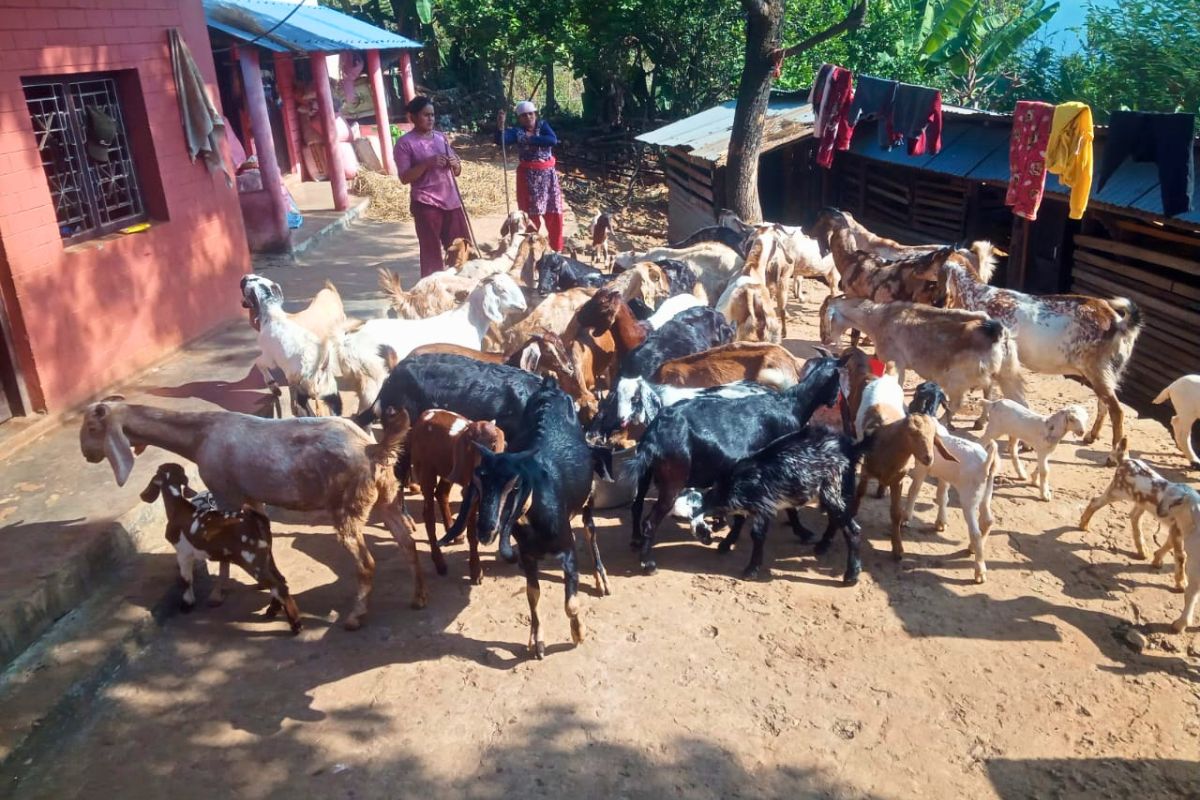 siddhalekh fakfuk jagga bikri dhading