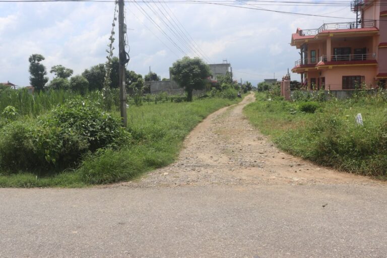 tandi chitwan dumri chowk 768x512