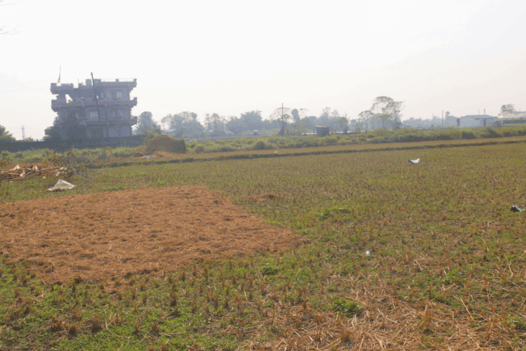 10dhur to 10kaththa land sale bhimnagar 768x512