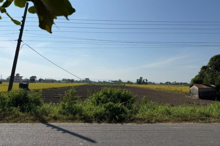 1bigha plot sale chitwan rdhapur 768x512