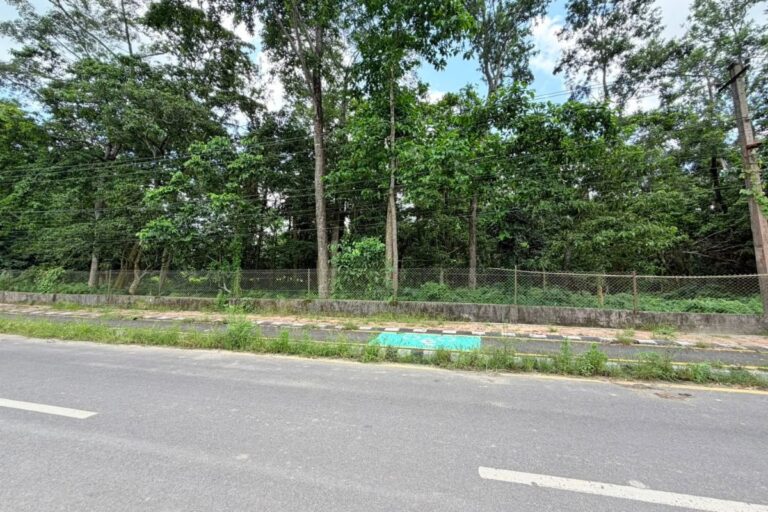 9kaththa 7dhur land sauraha 768x512