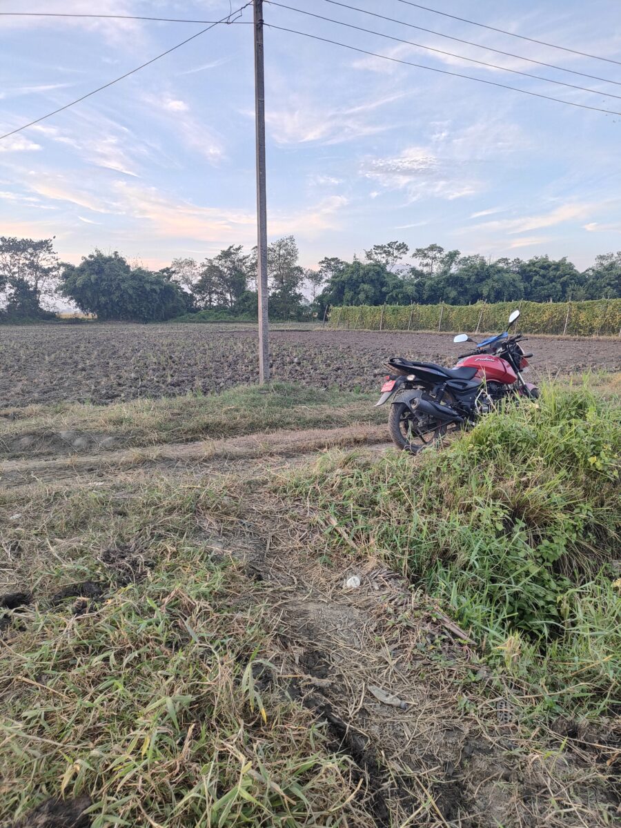 IMG20261028171205 900x1200
