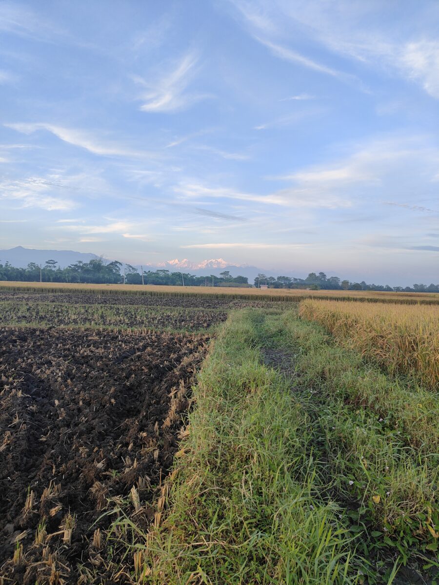 IMG20261028171506 900x1200