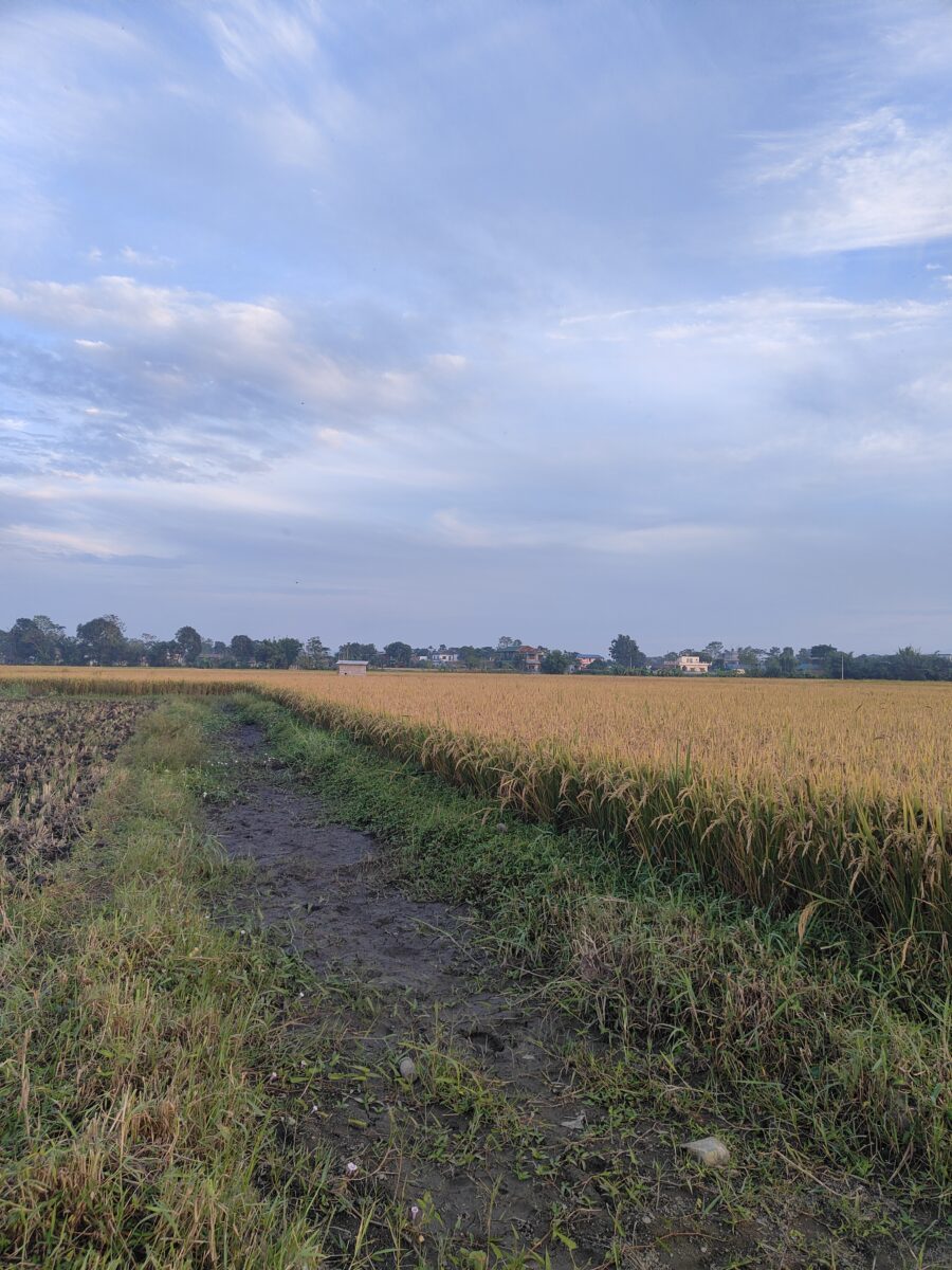 IMG20261028171545 900x1200