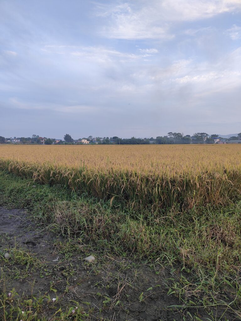 IMG20261028171549 768x1024