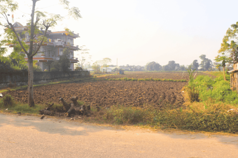 bharatpur bhimnagar jagga bikri chitwan 768x512
