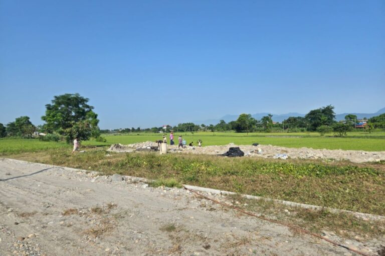 bharatpur gaurigunj ghaderi sale 768x512