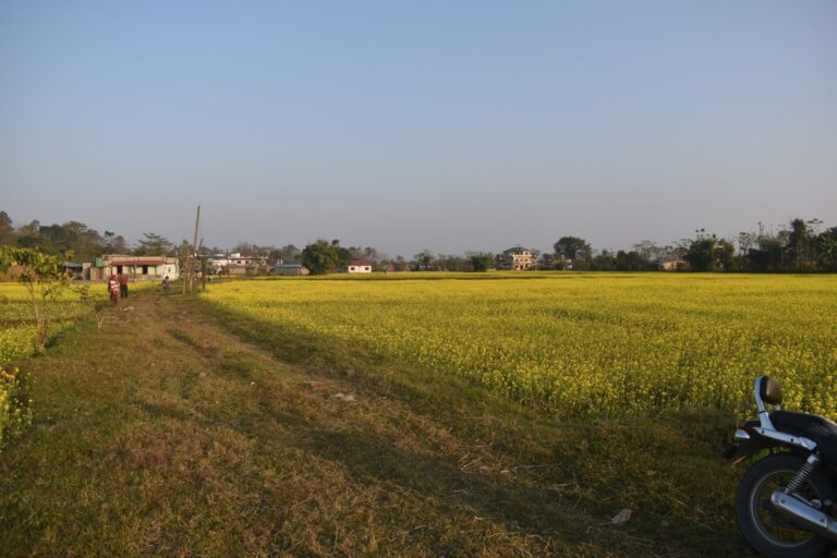 bharatpur sharanpur jagga bikri 768x512