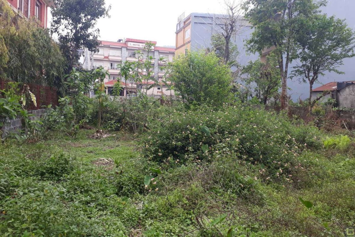 byaparik ghaderi lakeside