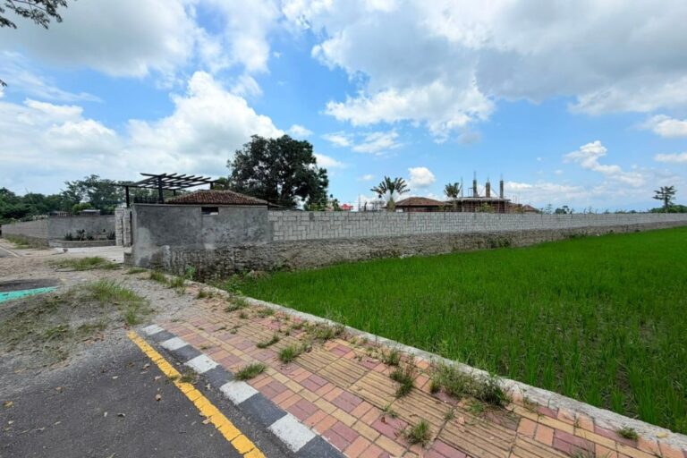 cheap land sale sauraha chitwan 768x512