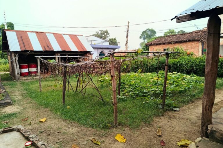 cheap land sale sunwol khakharibari parasi 768x512