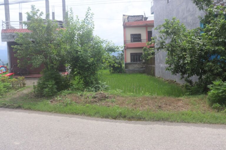 chitwan ghaderi sale magani parsa 768x512