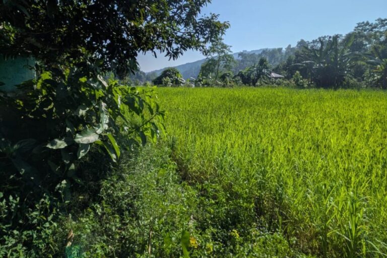 devghat jagga bikri tanhun 768x512