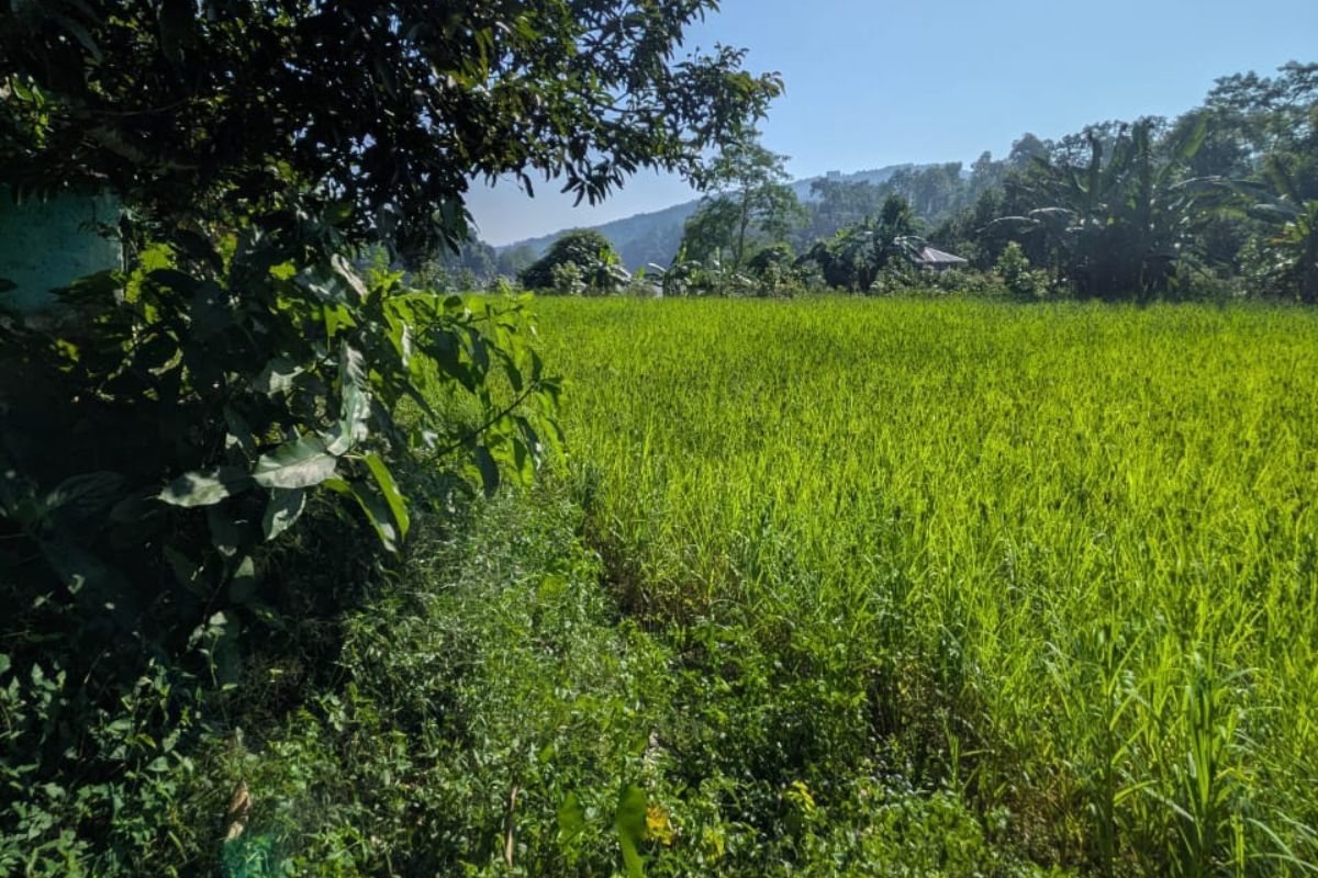 devghat jagga bikri tanhun