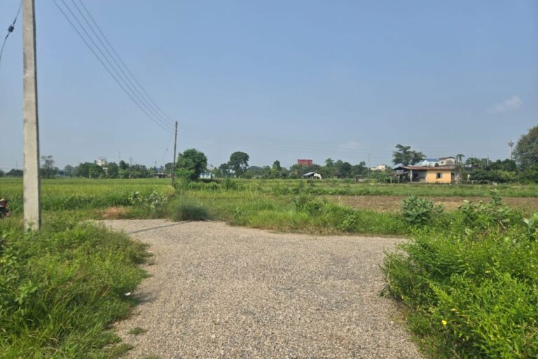 ghaderi bikri chainpur khairahani 768x512