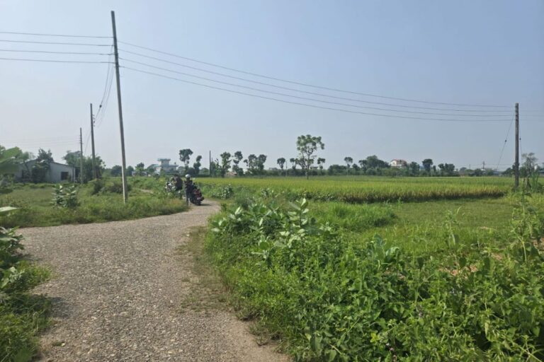 ghaderi bikri khairahani4 chitwan 768x512