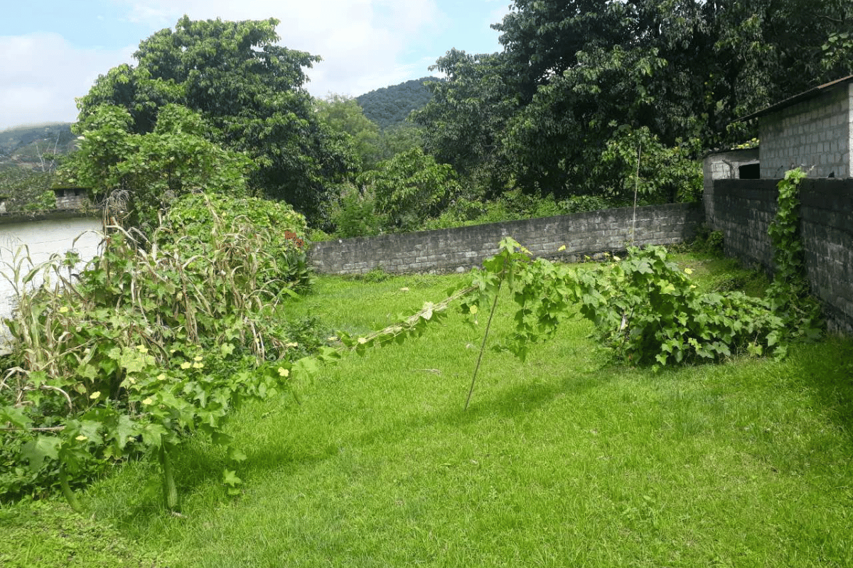 ghaderi bikri pardibirauta pokhara kaski