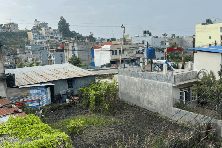 ghaderi sale padamshal gjn 768x512