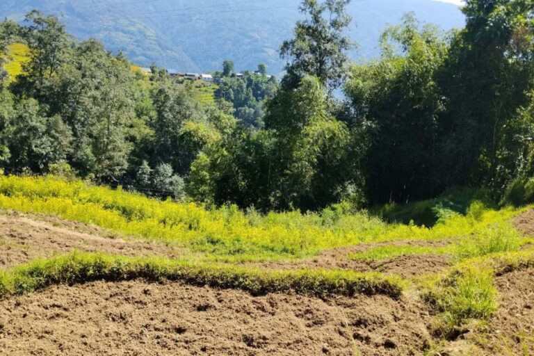 ghar jagga sale madi sankhuwasabha 768x512