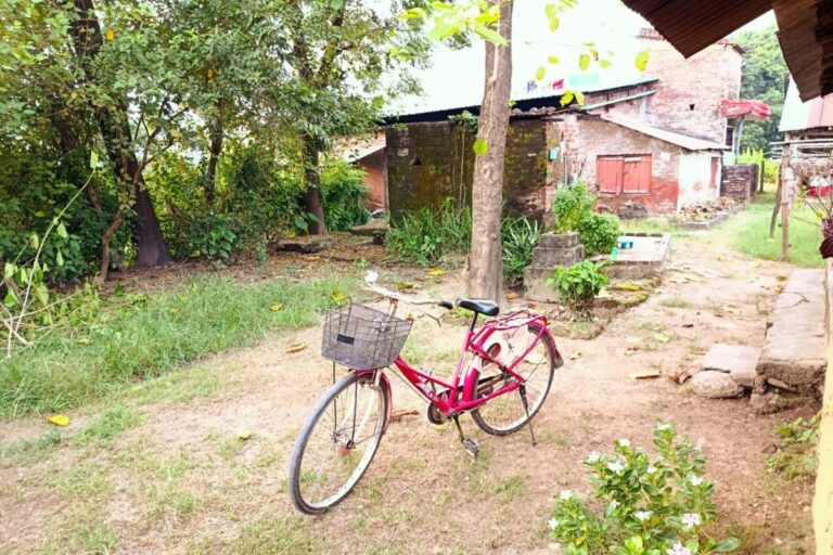 gharghaderi sale sunlwol parasi 768x512