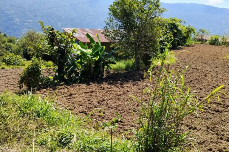 ghimire gaun madi sankhuwasabha 768x512