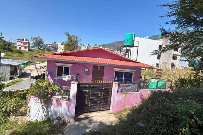 iron structure house kavresthali 768x512