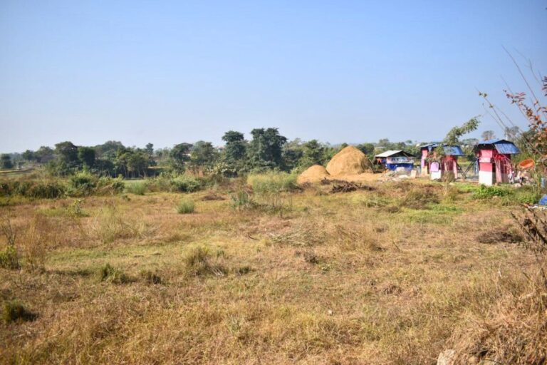 jagga bikri 24kaththa nawalpur 768x512