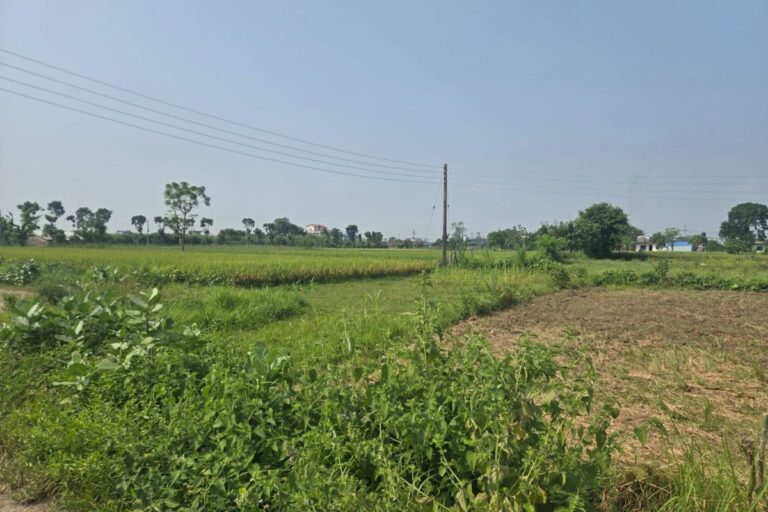 khairahani 4 chainpur jagga bikri 768x512