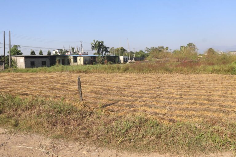 land for sale bandevi tole bharatpur 768x512