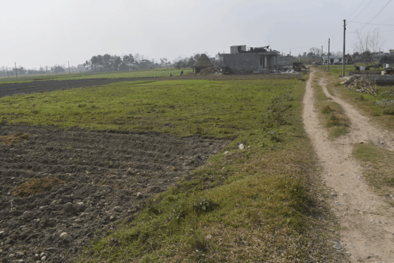 land for sale chanauli bhimnagar 768x512