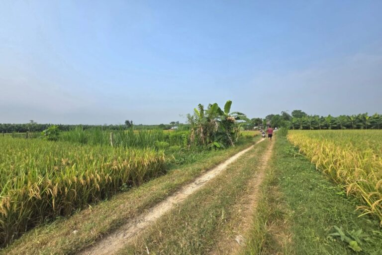 land for sale jirouna ratnanagar 768x512
