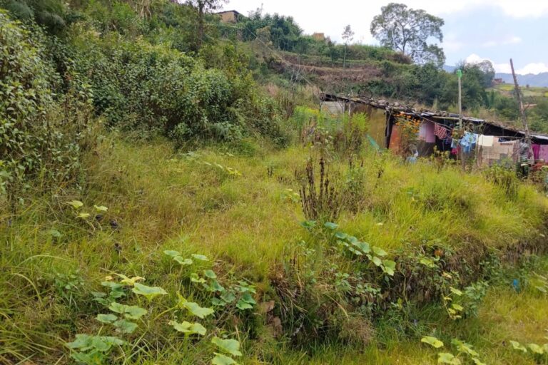 land for sale lele pravin 768x512